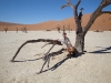 Namibie 686