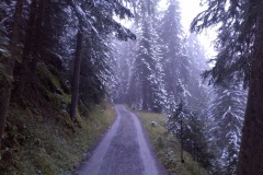 IMG_20240914_190831_HDR