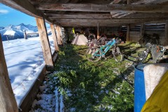 IMG_20240915_075641_HDR