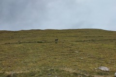 IMG_20240916_171632_HDR