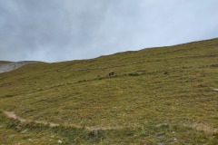 IMG_20240916_171634_HDR