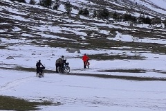 IMG_20240917_082033