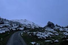 IMG_9415