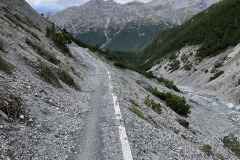 IMG_9459