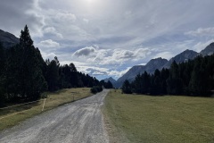 IMG_9474