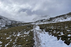 IMG_9489