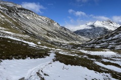 IMG_9490