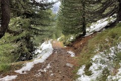 IMG_9493