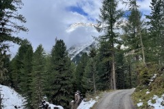 IMG_9494
