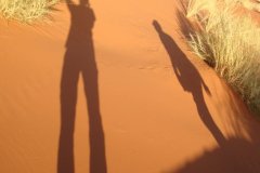 Our unique experience