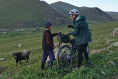 Superfriendly local horse riders