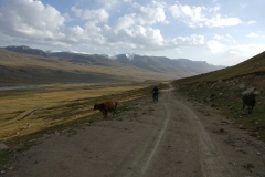 Descent from Tosor pass